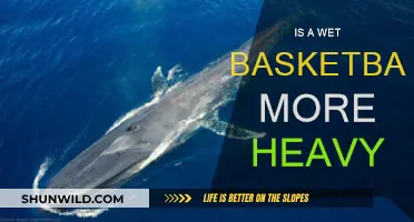 How Does Water Affect a Basketball's Weight?