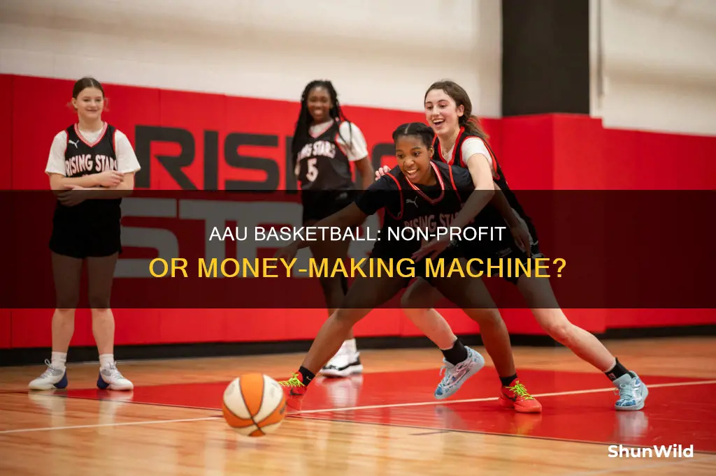 is aau basketball a non profit