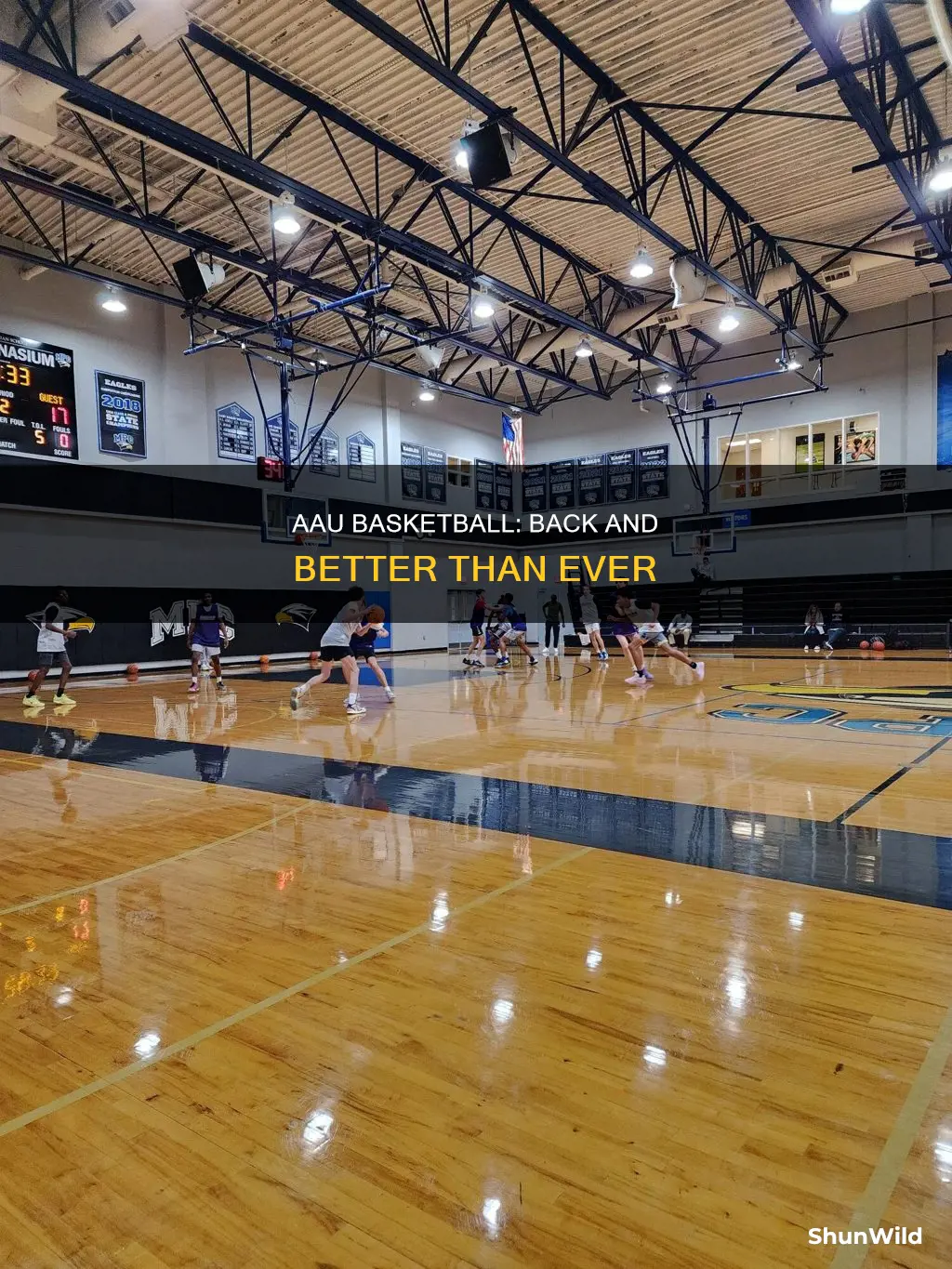 is aau basketball back