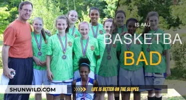 AAU Basketball: Friend or Foe?