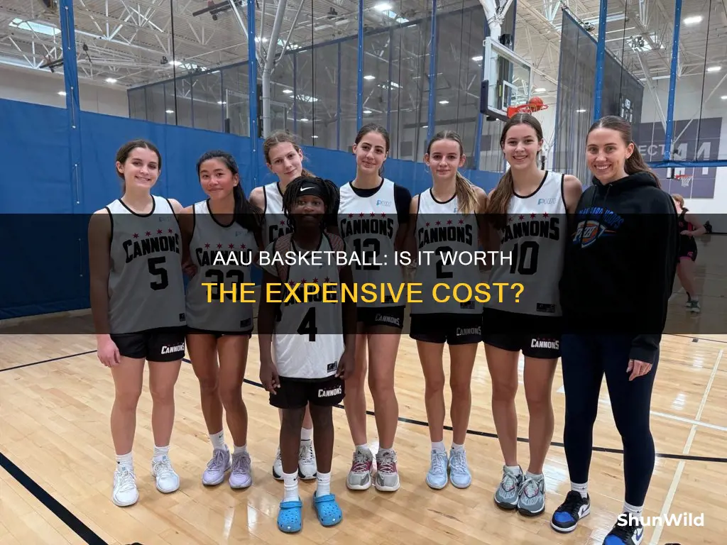 is aau basketball expensive