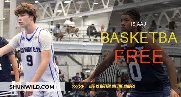AAU Basketball: Is It a Pay-to-Play Sport?