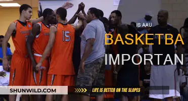 AAU Basketball: Is It Worth the Hype?