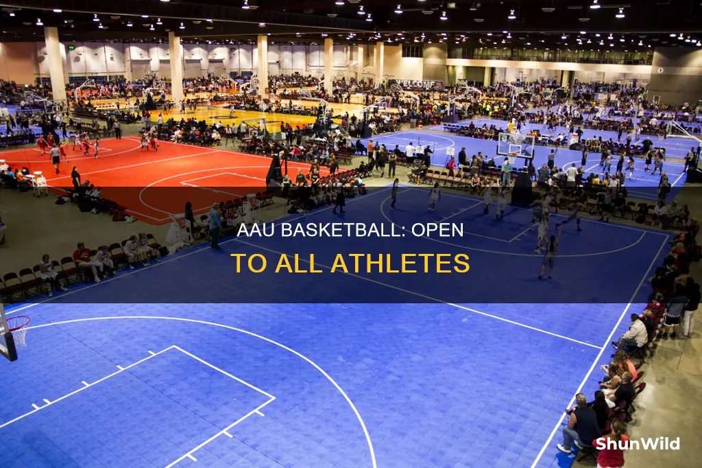 is aau basketball open