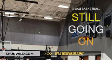 AAU Basketball: Is It Still Relevant?