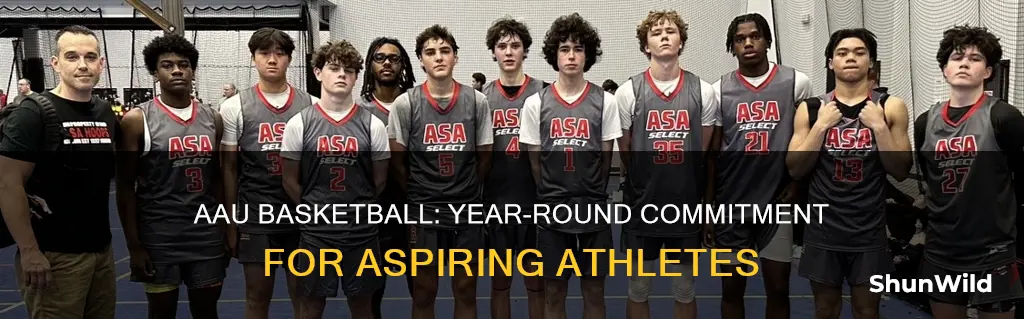 is aau basketball year round