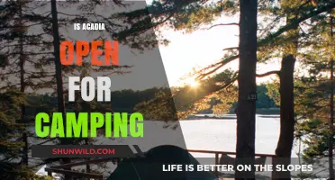 Is Acadia National Park Open for Camping? Your 2023 Guide