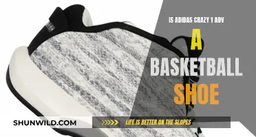 The Adidas Crazy 1 Adv: Basketball Shoe or Not?