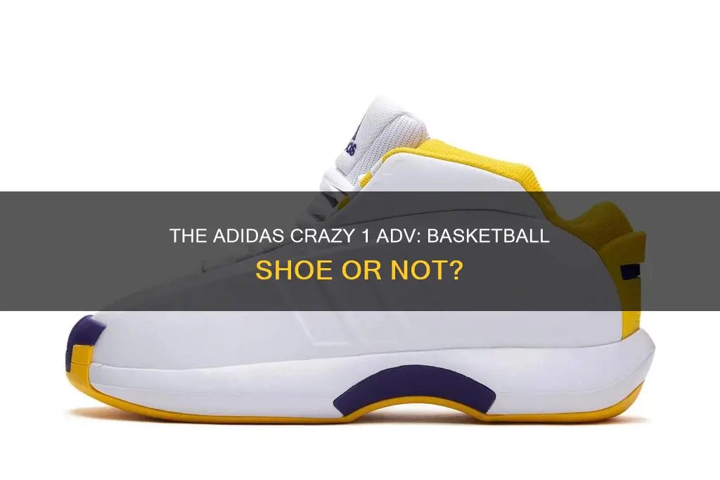 is adidas crazy 1 adv a basketball shoe