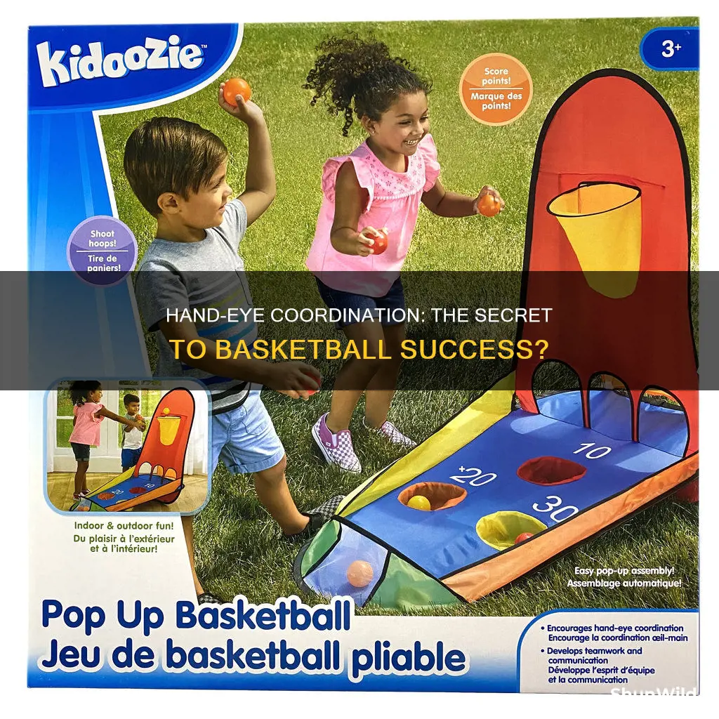 is aim or hand eye coordination better for basketball