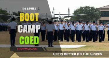 Is Air Force Boot Camp Coed? Exploring Gender Integration in Training