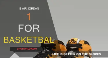 Jordan 1: Basketball Icon or Fashion Statement?