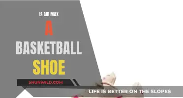 Air Max: Basketball Shoe or Fashion Statement?