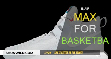 Air Max: Basketball's Best Friend?