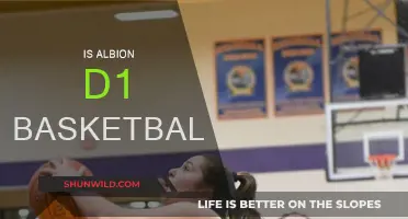 Albion's Basketball Team: A D1 Powerhouse?