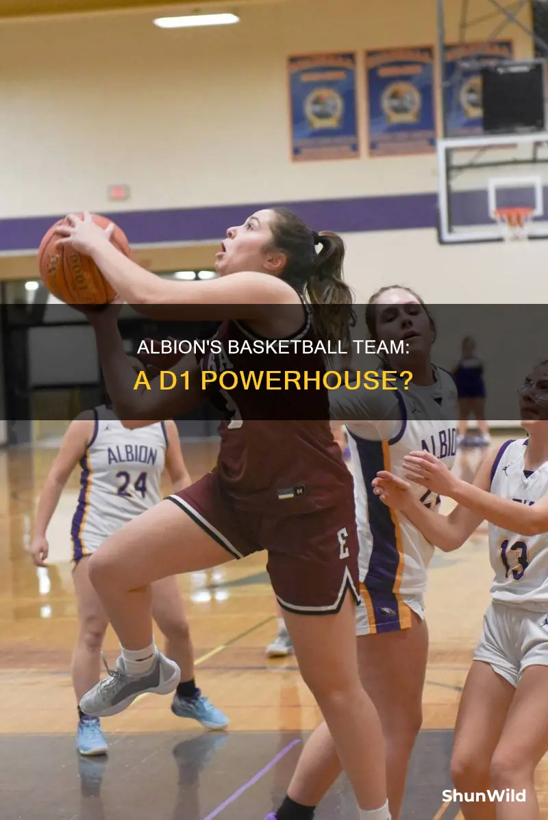 is albion d1 basketball