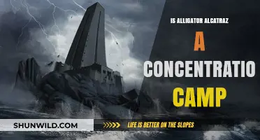 Unraveling the Myth: Alligator Alcatraz and Concentration Camp Claims