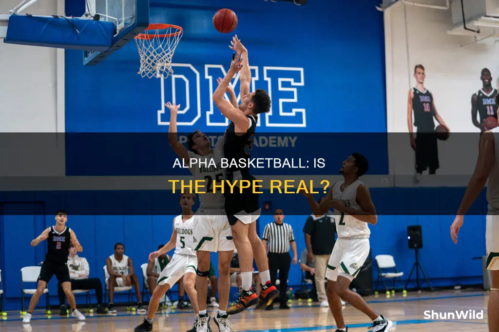 is alpha basketball worth it