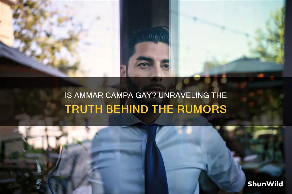is ammar campa gay