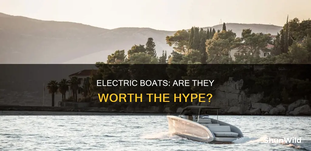 is an electric boat a good idea