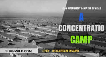 Internment vs. Concentration Camps: Understanding the Key Differences