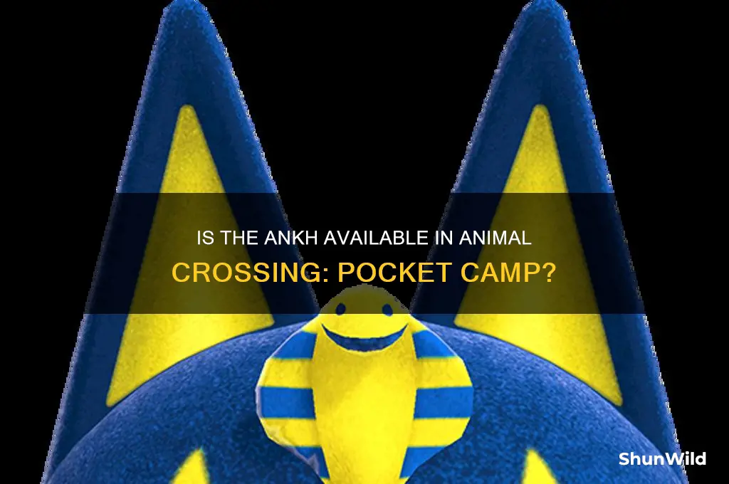 is ankh in pocket camp