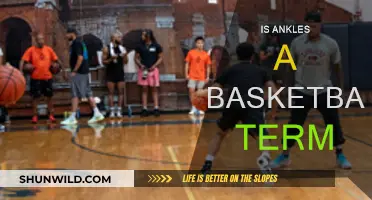 Ankle-Breaking Moves: Basketball's Unique Terminology