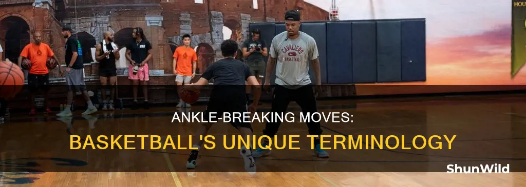 is ankles a basketball term