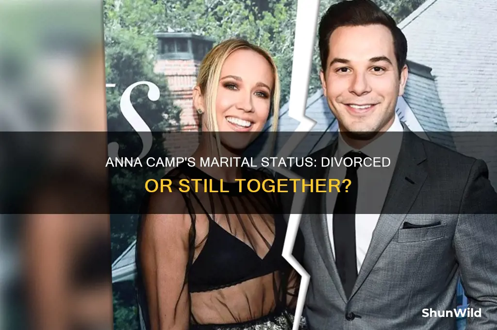 is anna camp divorced