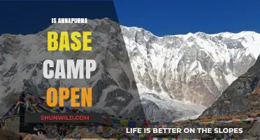 Is Annapurna Base Camp Open? Latest Updates for Trekkers