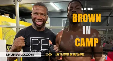 Is Antonio Brown in Camp? Latest Updates and Rumors