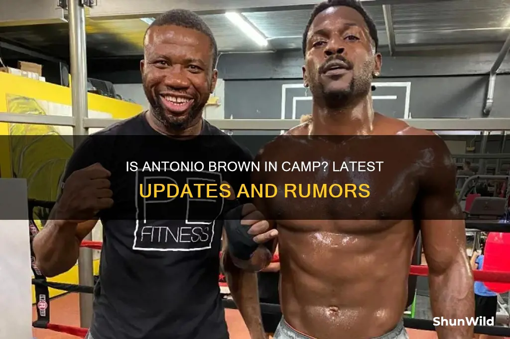 is antonio brown in camp
