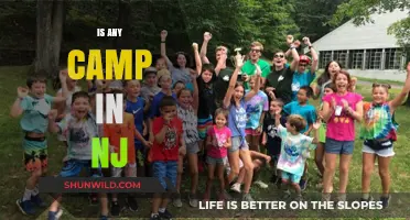 Discovering the Best Summer Camps in New Jersey for Kids