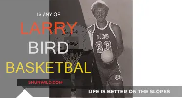 Bird's Basketball Brilliance: A Masterclass in Court Craft