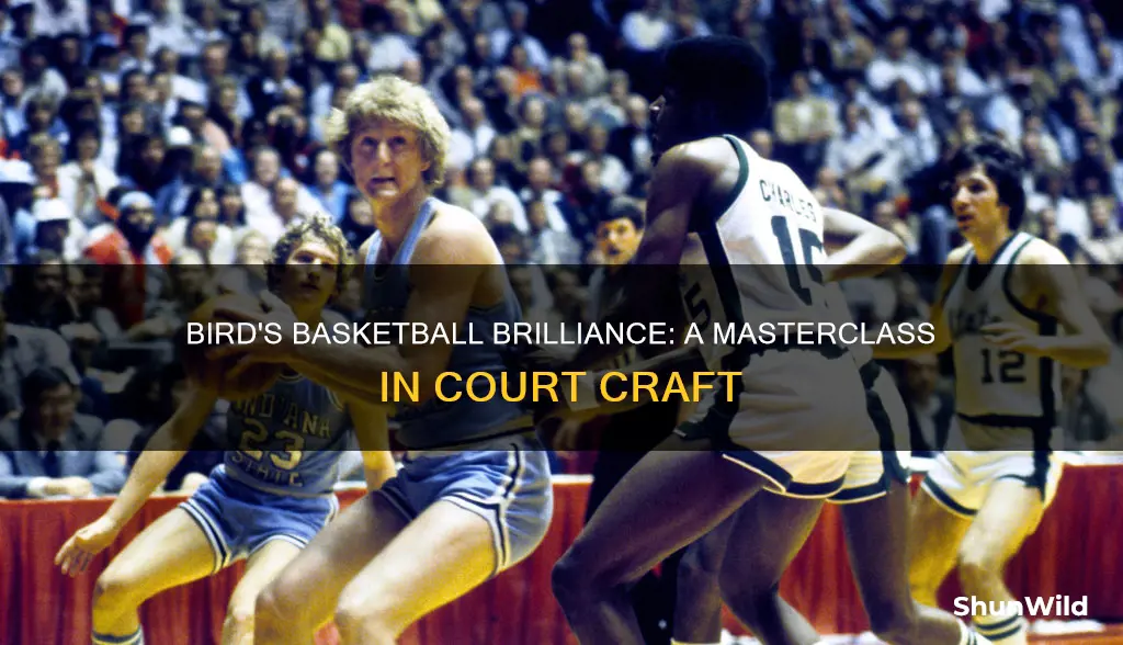 is any of larry bird basketball