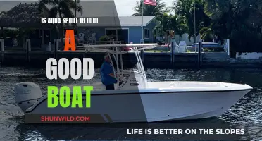 Aqua Sport 18-Footer: Worthy Boat or Not?