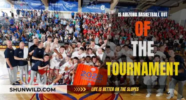 Arizona's Basketball: Tournament Exit and What's Next