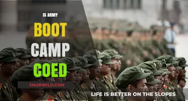 Is Army Boot Camp Coed? Exploring Gender Integration in Military Training