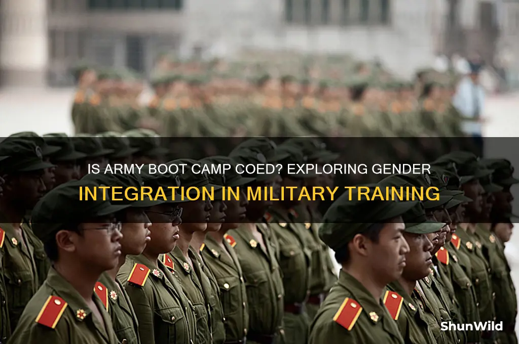 is army boot camp coed