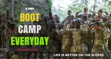 Army Boot Camp: Daily Grind or Periodic Training?