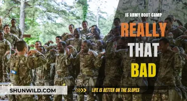 Is Army Boot Camp as Tough as They Say? The Truth Revealed