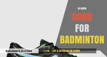 ASICS Badminton Shoes: Are They Worth the Hype?