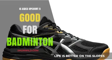 Upcourt 5: Good Choice for Badminton?