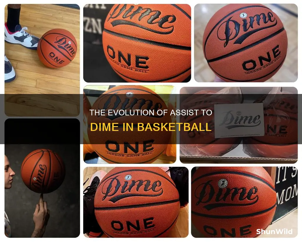 is assists called dimes in basketball