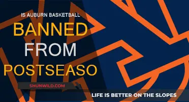 Auburn Basketball: Postseason Ban and its Repercussions