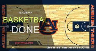 Auburn Basketball: Is the Team's Future in Jeopardy?