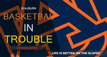 Auburn Basketball: Trouble Brewing for the Tigers?