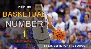 Auburn Basketball: The Best in the Nation?
