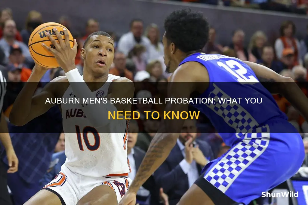 is auburn men