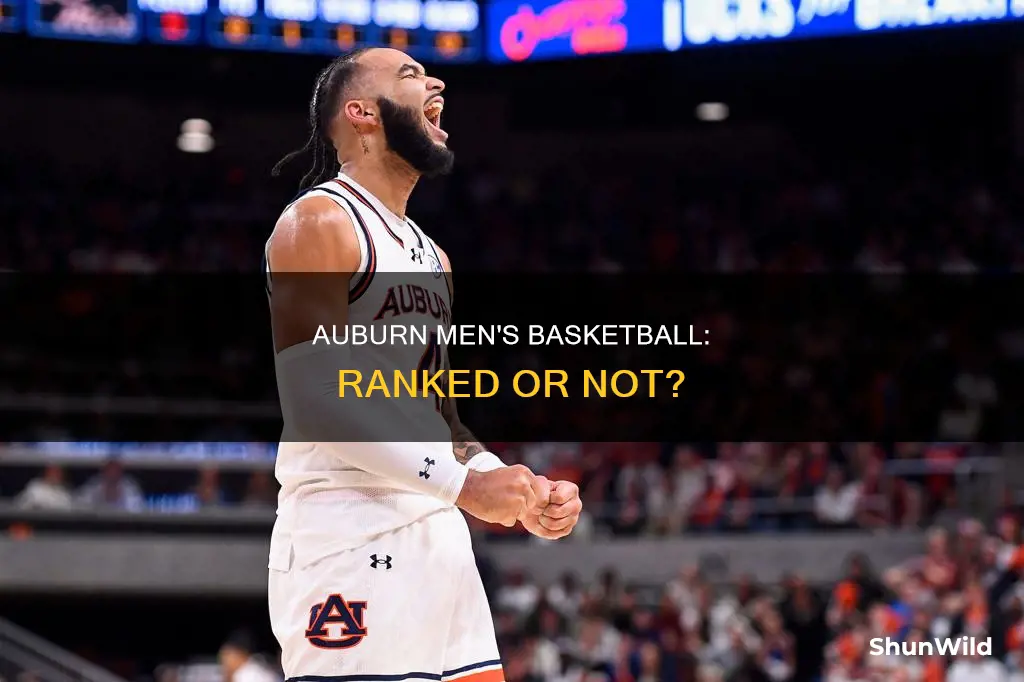 is auburn men